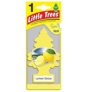 Little trees – Lemon Grove