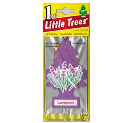 Little trees – Lavender